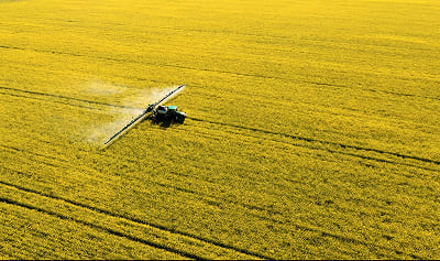 Open Agribusiness